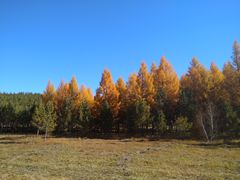 -塞罕坝国家级自然保护区