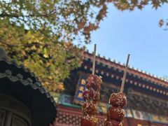 -香山公园