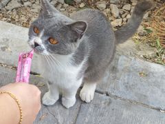 -西安大兴善寺