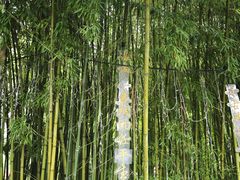 -东坡赤壁风景名胜区