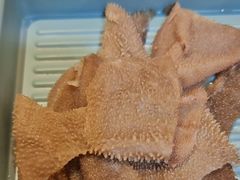 -蓝夫鲜切牛肉火锅自助(月色广场店)