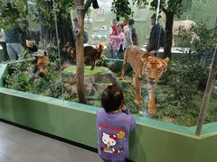 -国家自然博物馆