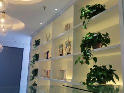 点击看大图 -蕾特恩专业祛痘旗舰店