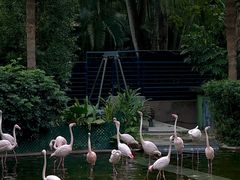 -九龙公园