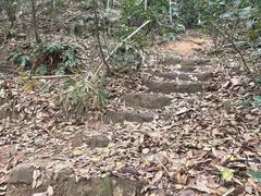 -广州市白云山风景名胜区