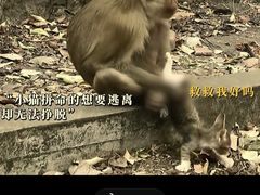 -昆明动物园