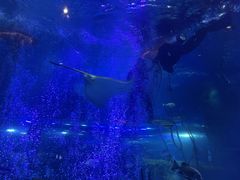 -沈阳海洋探索中心