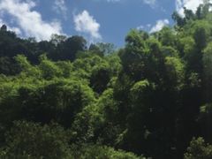 -阿依河景区