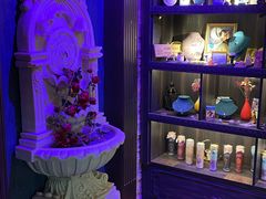 -雪灵魔法世界SHELLY’S TAROT(大良桂畔里店)