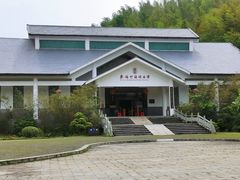 -蔡伦竹海