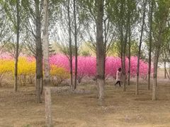 -东郊湿地公园