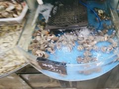 -鑫渔港海鲜本地菜·山海关浑锅(东戴河店)