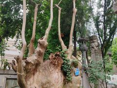 -西安关中民俗艺术博物院