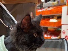 -MARSMART PETS火星宠物超市(1733店)