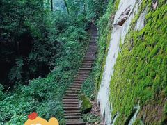 -天台山景区