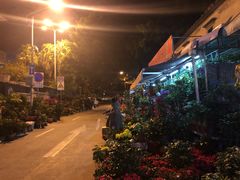 -溪岸路花鸟市场