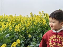 -白鹭湾湿地公园