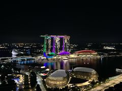 -新加坡瑞士史丹福酒店