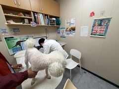 -安安宠医·臻爱宠物医院·宠保定点(营门口路分院)