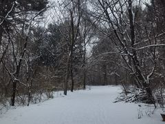 -长春市南湖公园