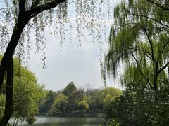 -杭州西子湖四季酒店-WL BISTRO西湖餐厅(灵隐路店)