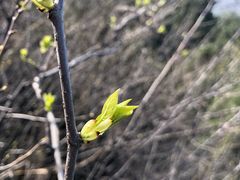-终南山南五台景区