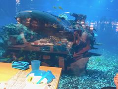 -海棠湾洲际-涛·海底餐厅·美人鱼·自助餐·海底隧道