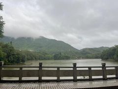 -深圳仙湖植物园