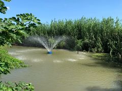 -樂桃源奉贤黄桃种植采摘基地