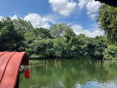 -侨美·唐荔园·40年地道粤菜