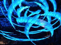 -西安W酒店·WEI全味西餐厅