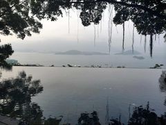 -大埔公路-马料水段香港中文大学(公交站)