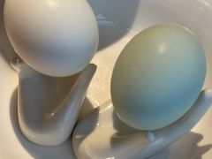 溏心海鸭蛋-佬太公海鸭·海鲜大排档(上海总店)