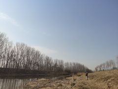 -东郊湿地公园
