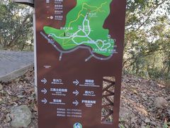 -上海佘山国家森林公园天马山园