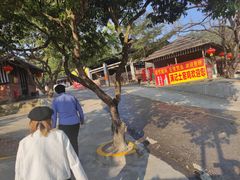 -满記土窑烧鷄波浪山莊