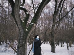 -长春市南湖公园