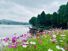 -白云湖畔酒店-湖畔餐厅