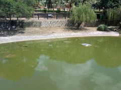 -泉州海丝野生动物世界