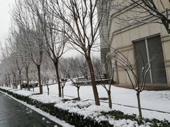 -世纪钟