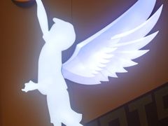 -翼速篮球·儿童体适能·中考体育(鲁能城店)