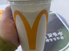 -麦当劳(红旗路店)