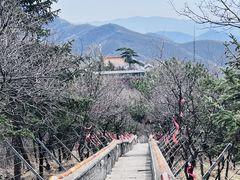 -妙峰山风景名胜区