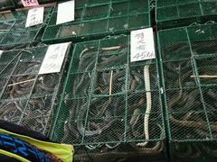 -荔城生鲜盛宴(番禺旗舰店)