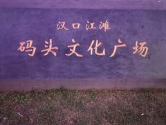-武汉两江游览·夜游长江(汉口粤汉码头)