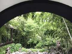 -梅园