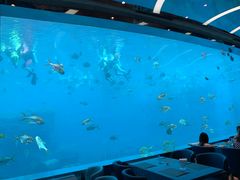 -瑞德姆美人鱼海底演艺主题餐厅(亚龙湾店)