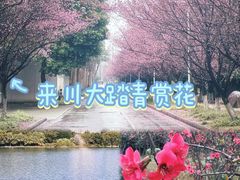-四川大学(江安校区)