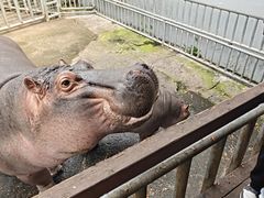 -宁波野生动物园