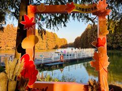 -上海海湾国家森林公园